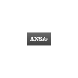 ANSA